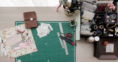 flat lay photo of school supplies
